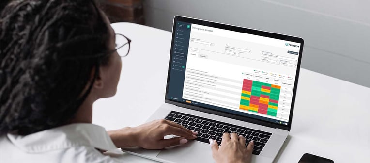 Using Demographic Cross-Tabulation in Survey Analysis to Drive Better Business Decisions