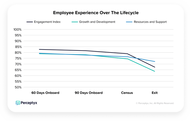 Employee Experience Over the Lifecycle