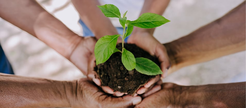 Earth Day, CSR, and Environmentally Responsible Organizations